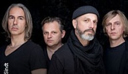 SELIG - Würzburger Hafensommer