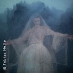 Die weiße Dame