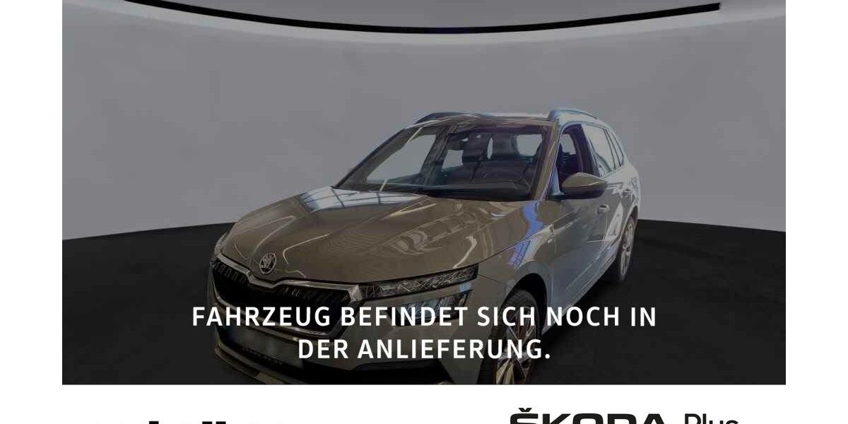 Skoda Kamiq 58.500 km 21.980 &euro; Würzburg 97084